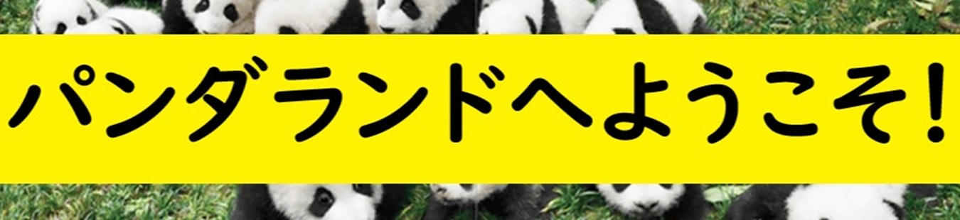 Welcome to the pandaland!